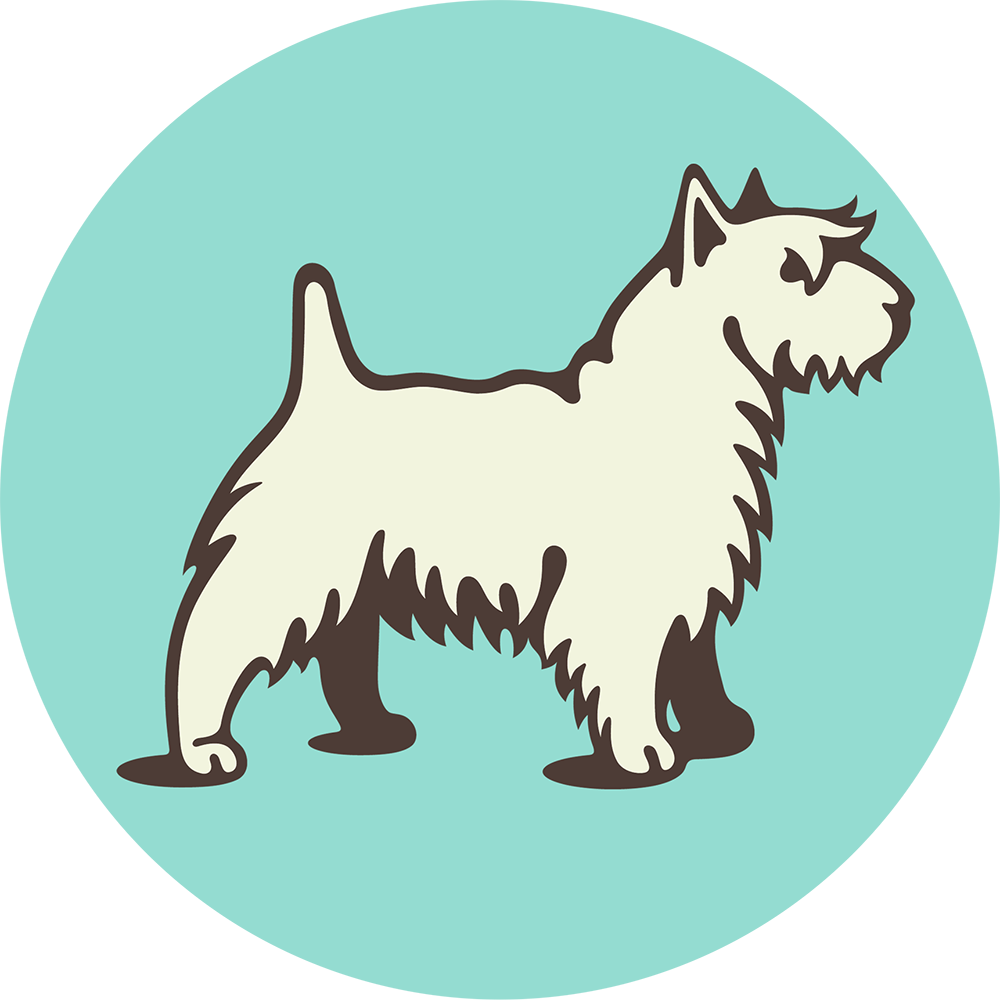 Terrier Digital Logo